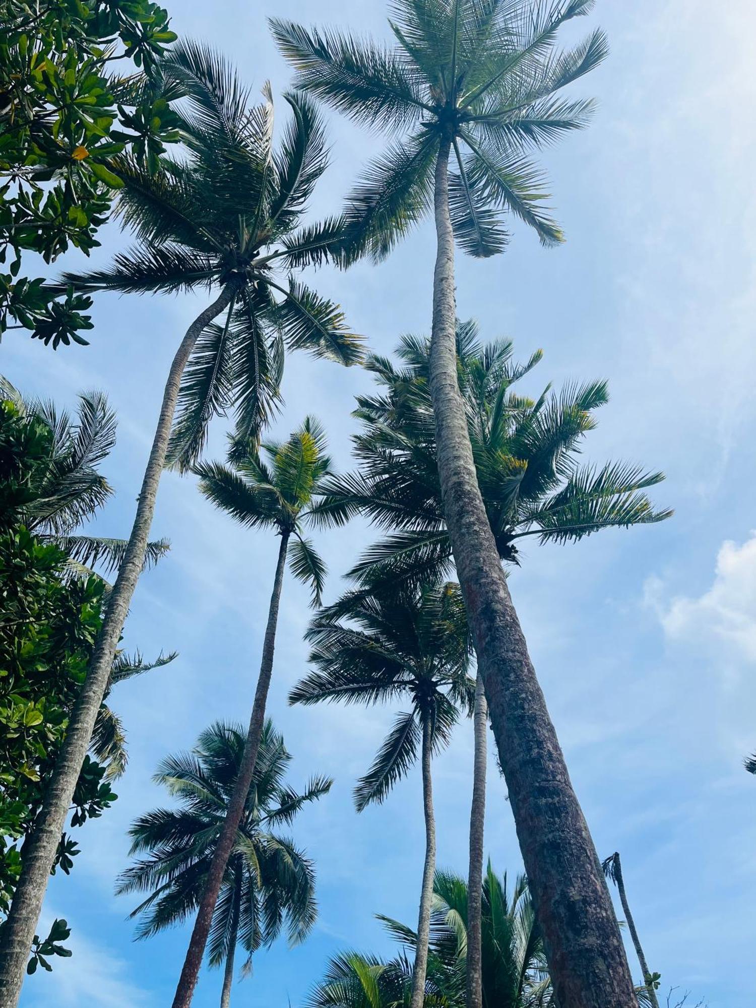 Esperanza Beach Mawella Tangalle Buitenkant foto